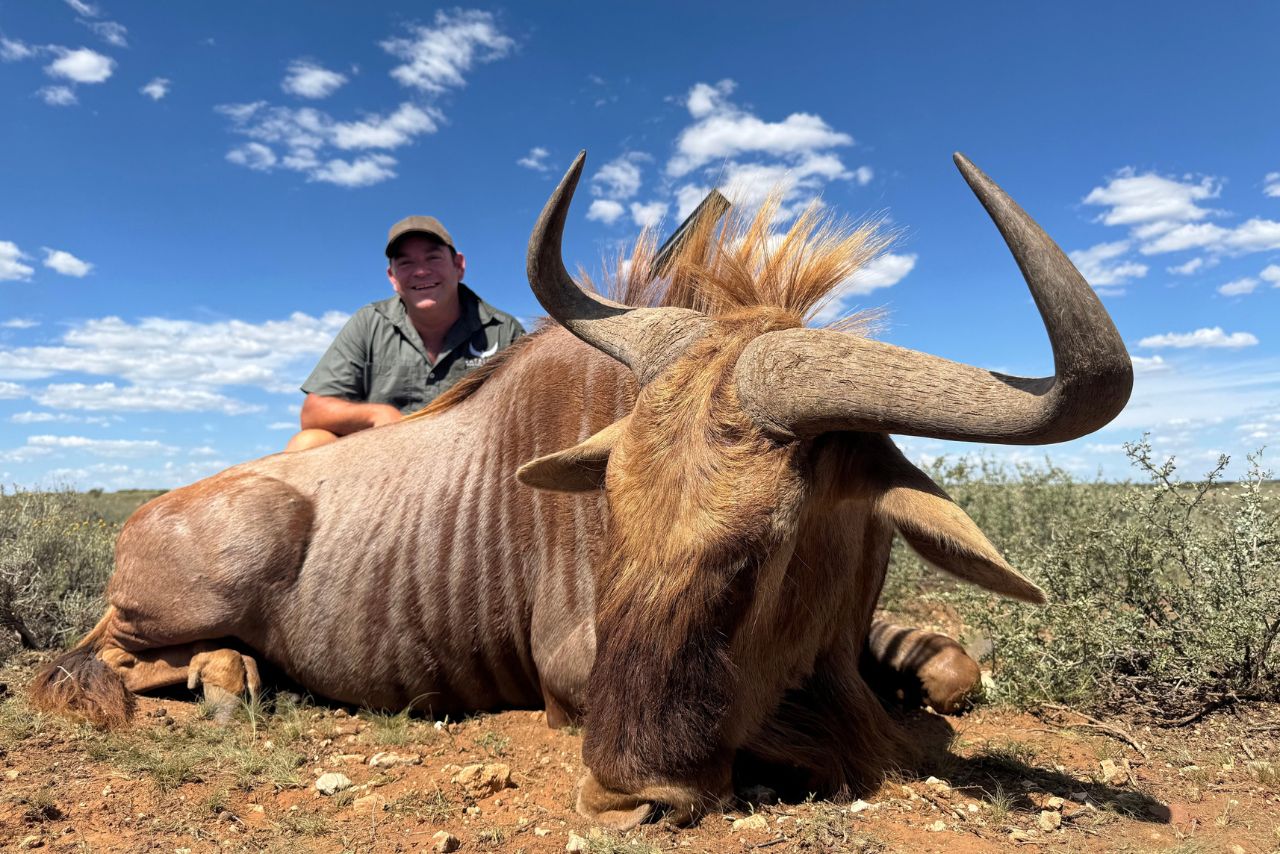 A hunter with his wildebeest under a blue sky