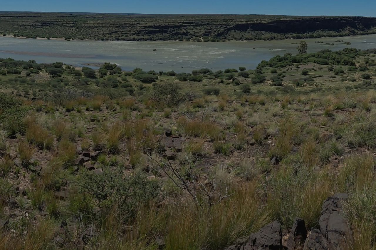 Riverine bush and open plains
