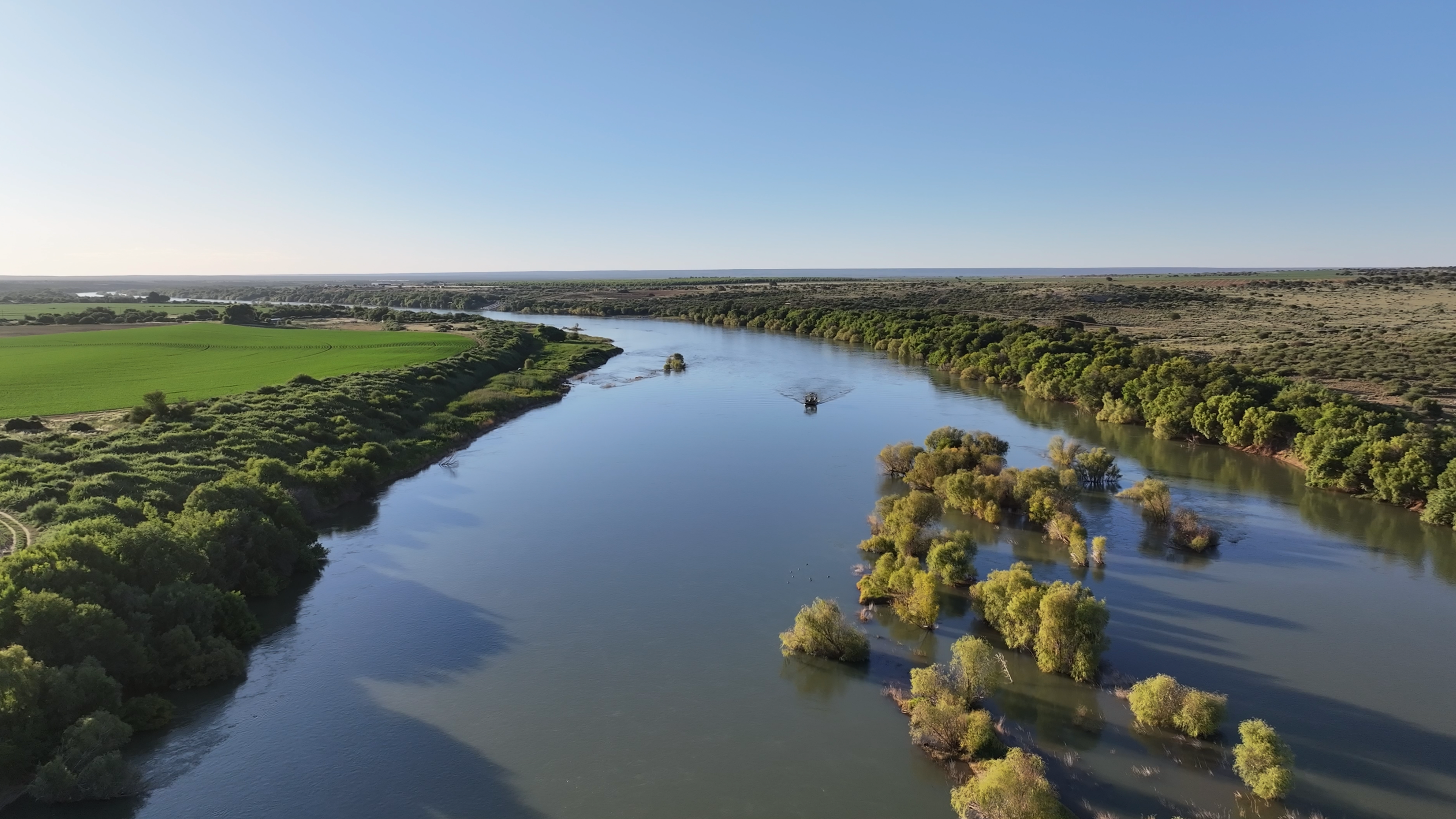 Safari cinematography 7