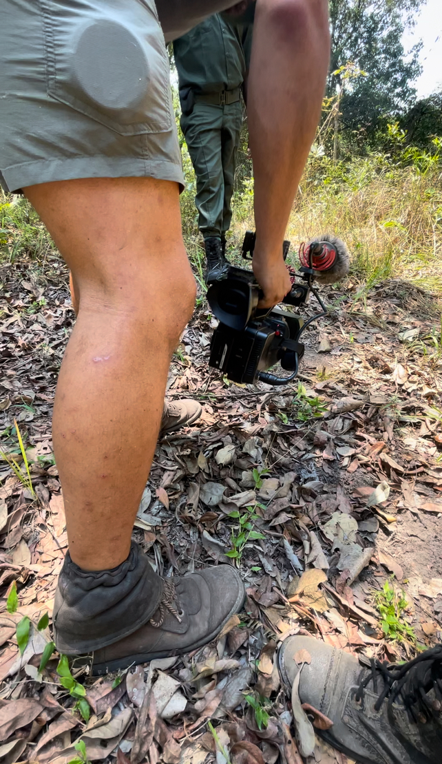 Safari cinematography 5